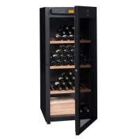 Отдельностоящий винный шкаф 101-200 бутылок Avintage DVP180G 