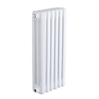 Стальной трубчатый радиатор 3-колончатый IRSAP TESI 30565/06 (RR305650601A430N01)