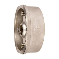 Клапан обратный дисковый RUSHWORK - Ду20 (ф/ф, PN40, Tmax 300°C, сталь)